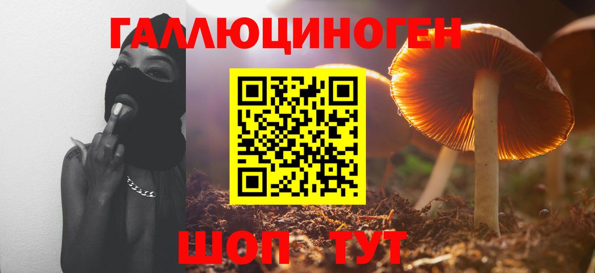продажа наркотиков  Псилоцибиновые грибы Psilocybe  Вход с VPN  Ивантеевка 